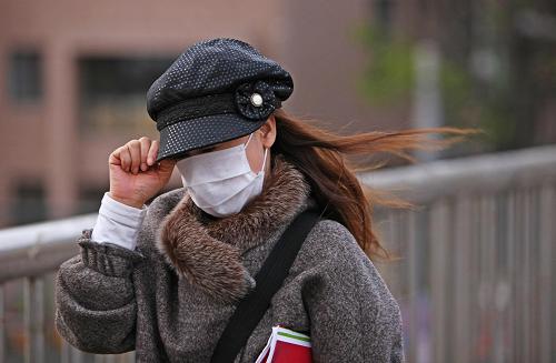 京城出现大风扬沙天气--国家史册