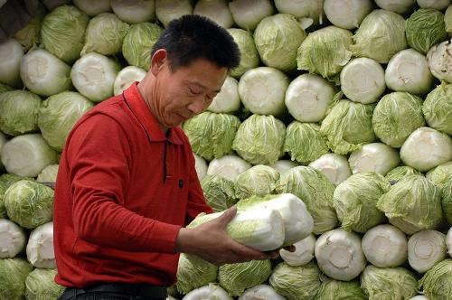 山东蔬菜价格连续7周下跌--国家年鉴