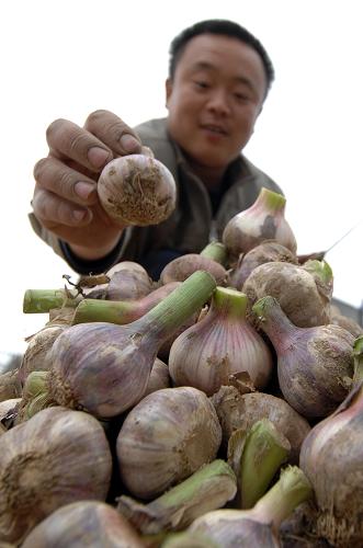 山东蔬菜价格连续7周下跌--国家年鉴