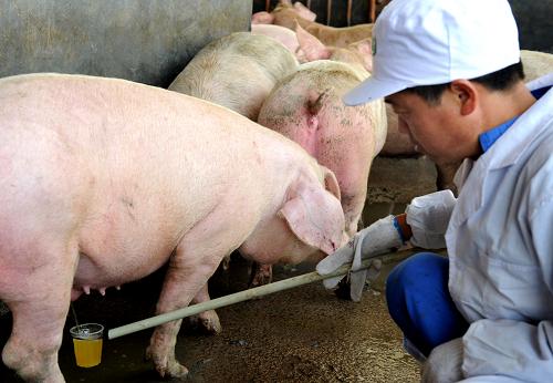 浙江义乌全程检测“瘦肉精”--中华人民共和国年鉴