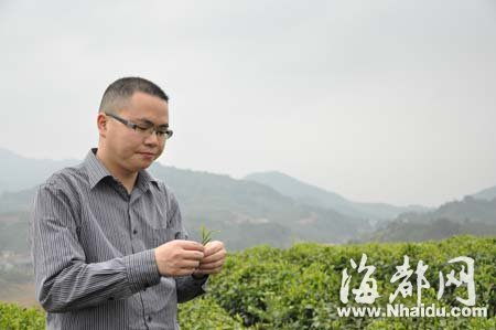 大学生放弃保研回乡栽茶 省委书记高度赞赏--国家史册
