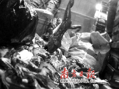 水产市场死田鸡公开销售数年 据称多流入大排档--中国年鉴