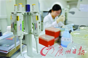 广州亚运会和亚残运会留给世界人民美好记忆--中华人民共和国年鉴