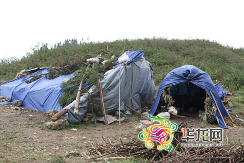 重庆查获17.5吨“毒竹笋” 工业硫磺熏制可致癌--中国年鉴