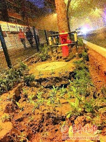 济南:文西路一段绿化带塌得不轻--中国年鉴社
