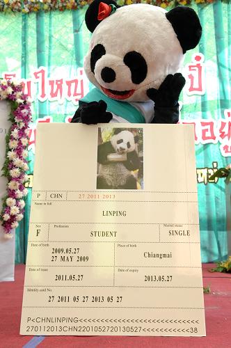 中泰两国代表正式办理大熊猫林冰租期延长--国家年鉴