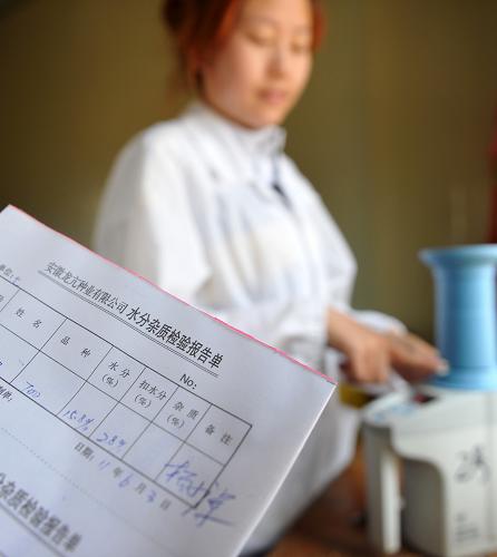 “种子不落地”保障种子生产安全--国家年鉴