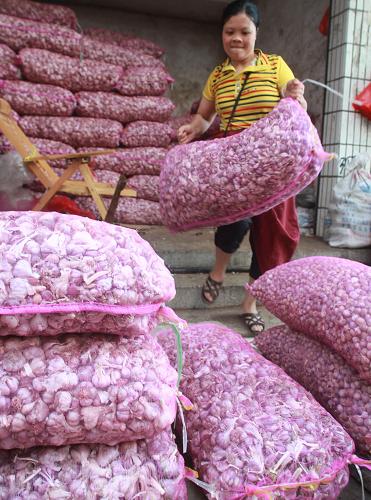 3月中旬以来全国大蒜价格降幅超过25%--中国年鉴网