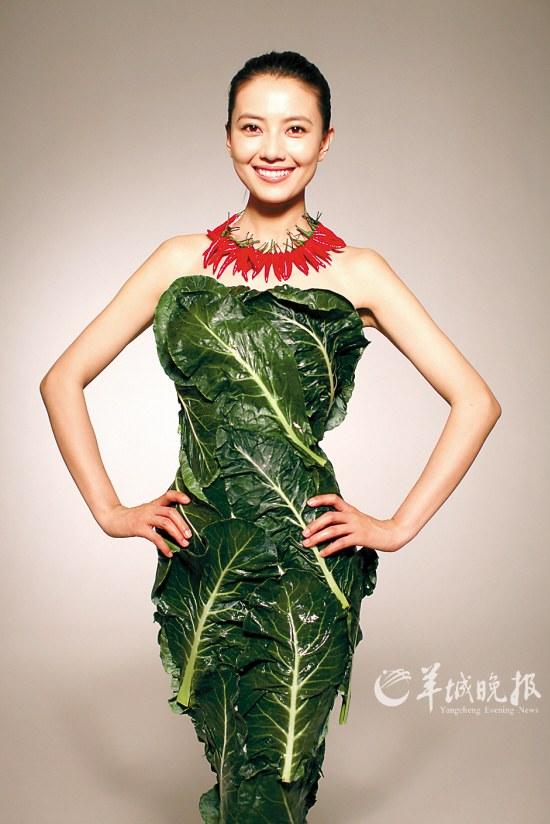 图文:高圆圆穿“蔬菜礼服” 呼吁公众摒弃肉食--国家史册