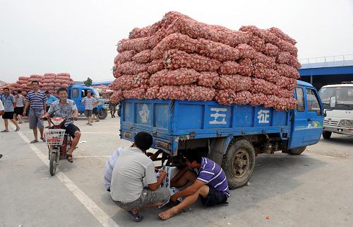 蒜市低迷开局 蒜价连日下跌--中国年鉴网