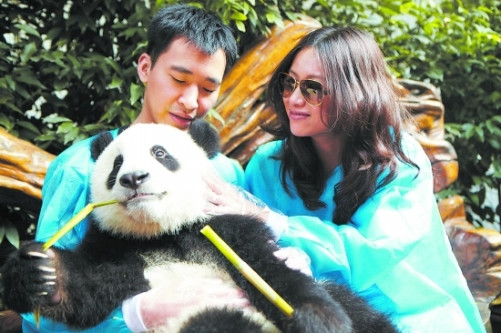 徐静蕾拍戏兴奋抱熊猫 遭刘国梁笑言:你们好像--中国年鉴
