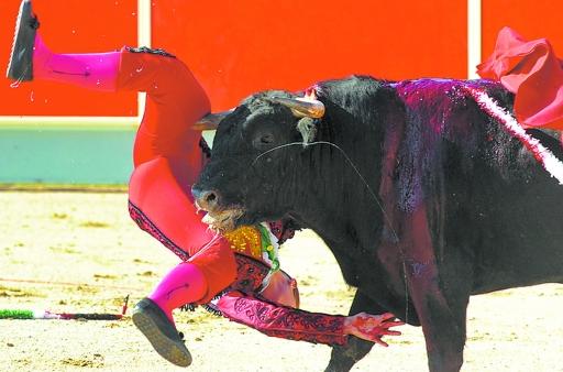 女斗牛士被公牛刺穿大腿 血腥场面吓坏观众(图)--中国年鉴