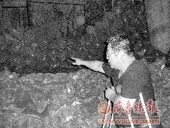 贸易公司被曝贱卖遭百吨氨气污染洋葱 流向不明--中国年鉴