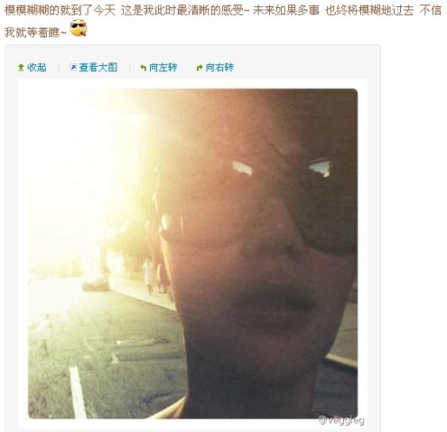 王菲晒美照庆42岁生日 赵薇送祝福盼共聚(图)--中国年鉴网