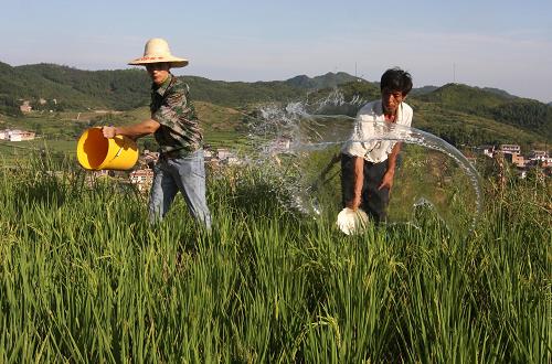 湖南旱情严重 45万人饮水困难--国家史册