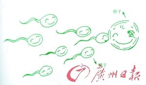 北京教委称暂无中小学性教育教材推广计划--国家史册