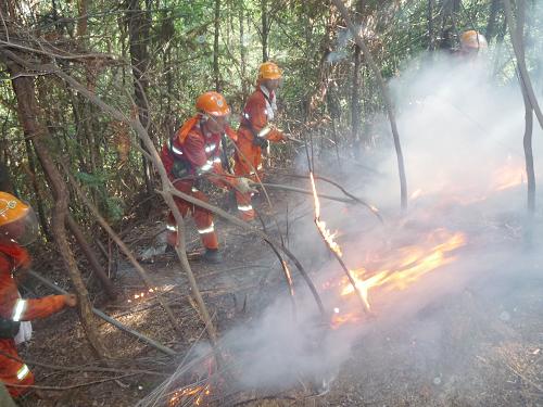 重庆持续高温多地发生山火 森林防火形势严峻--国家年鉴