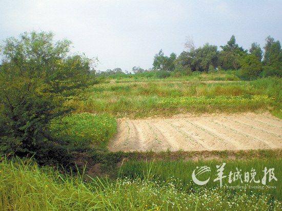 高速公路建成通车11年 同步建好出口仍遭封堵--国家年鉴