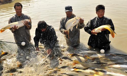 “塞上江南”绿色渔业走俏市场--中国年鉴