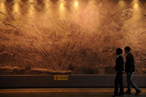 贵州关岭化石群国家地质公园成中国古生物学会全国科普教育基地--国家年鉴