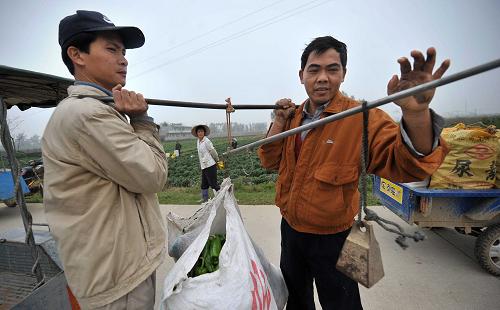 海南灾区群众的新年生活--中国年鉴网