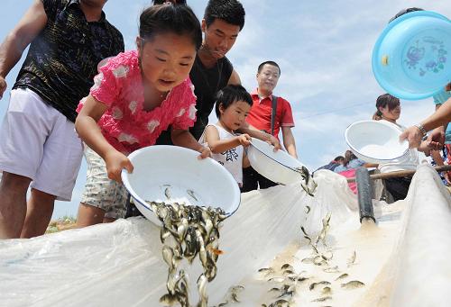 我国环保力度不断加大 大众共享碧水蓝天--年度总结