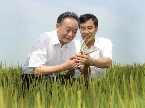 吴邦国在黑龙江调研--总结经验