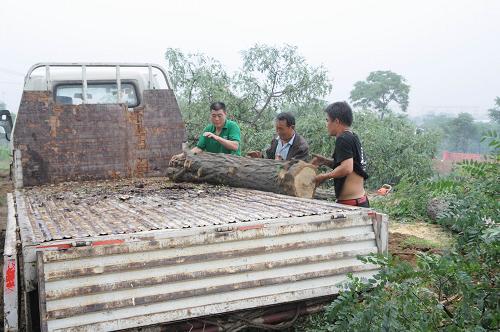 北京房山灾区安置房开建--中国年鉴