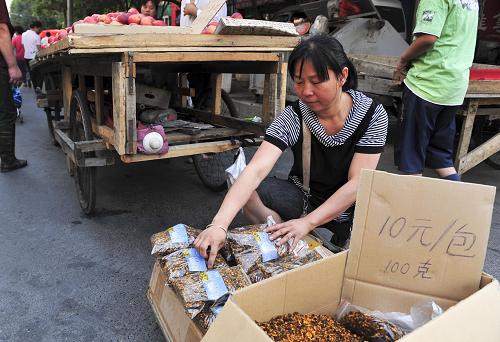 盲种导致新疆雪菊滞销贱卖 菊农为销路发愁--中国年鉴社